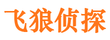 南岸市侦探调查公司